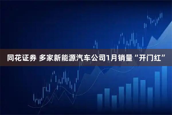 同花证券 多家新能源汽车公司1月销量“开门红”