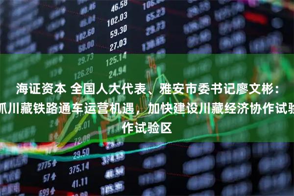 海证资本 全国人大代表、雅安市委书记廖文彬：抢抓川藏铁路通车运营机遇，加快建设川藏经济协作试验区