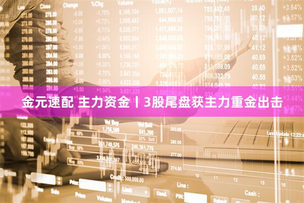 金元速配 主力资金丨3股尾盘获主力重金出击
