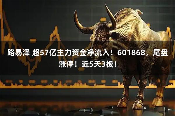 路易泽 超57亿主力资金净流入！601868，尾盘涨停！近5天3板！