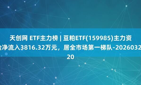 天创网 ETF主力榜 | 豆粕ETF(159985)主力资金净流入3816.32万元，居全市场第一梯队-20260320