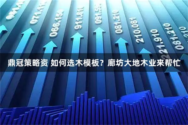鼎冠策略资 如何选木模板？廊坊大地木业来帮忙
