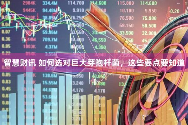 智慧财讯 如何选对巨大芽孢杆菌，这些要点要知道