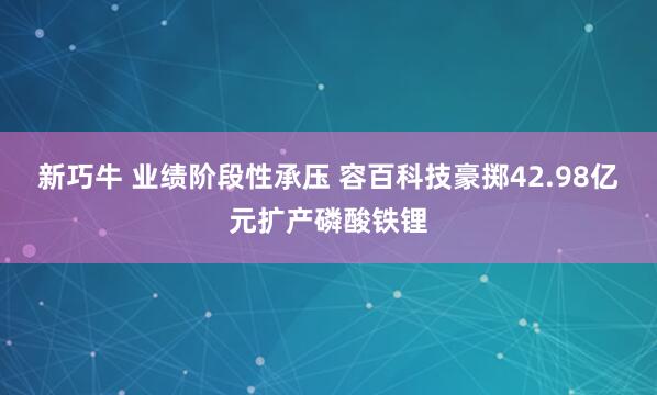 新巧牛 业绩阶段性承压 容百科技豪掷42.98亿元扩产磷酸铁锂