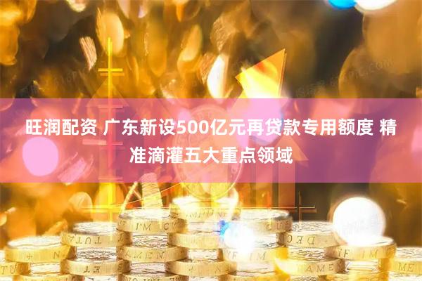 旺润配资 广东新设500亿元再贷款专用额度 精准滴灌五大重点领域