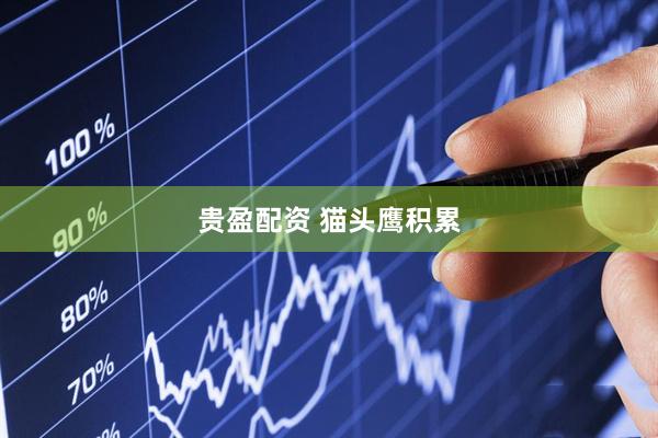 贵盈配资 猫头鹰积累