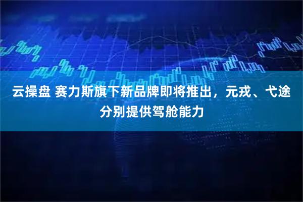 云操盘 赛力斯旗下新品牌即将推出，元戎、弋途分别提供驾舱能力