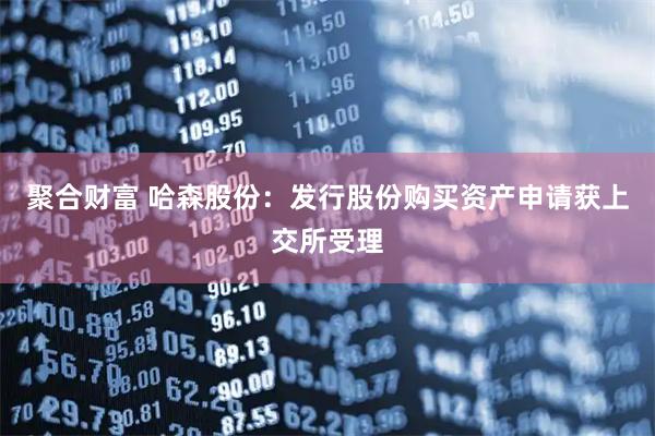 聚合财富 哈森股份：发行股份购买资产申请获上交所受理