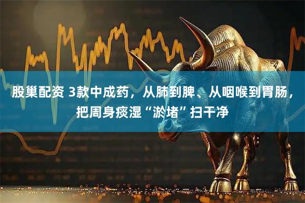 股巢配资 3款中成药，从肺到脾、从咽喉到胃肠，把周身痰湿“淤堵”扫干净