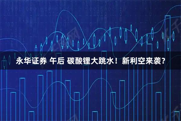 永华证券 午后 碳酸锂大跳水！新利空来袭？